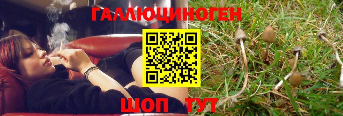 Галлюциногенные грибы Psilocybe  Вход с VPN  цена наркотик  Псилоцибиновые грибы прущие грибы  Верхняя Салда 